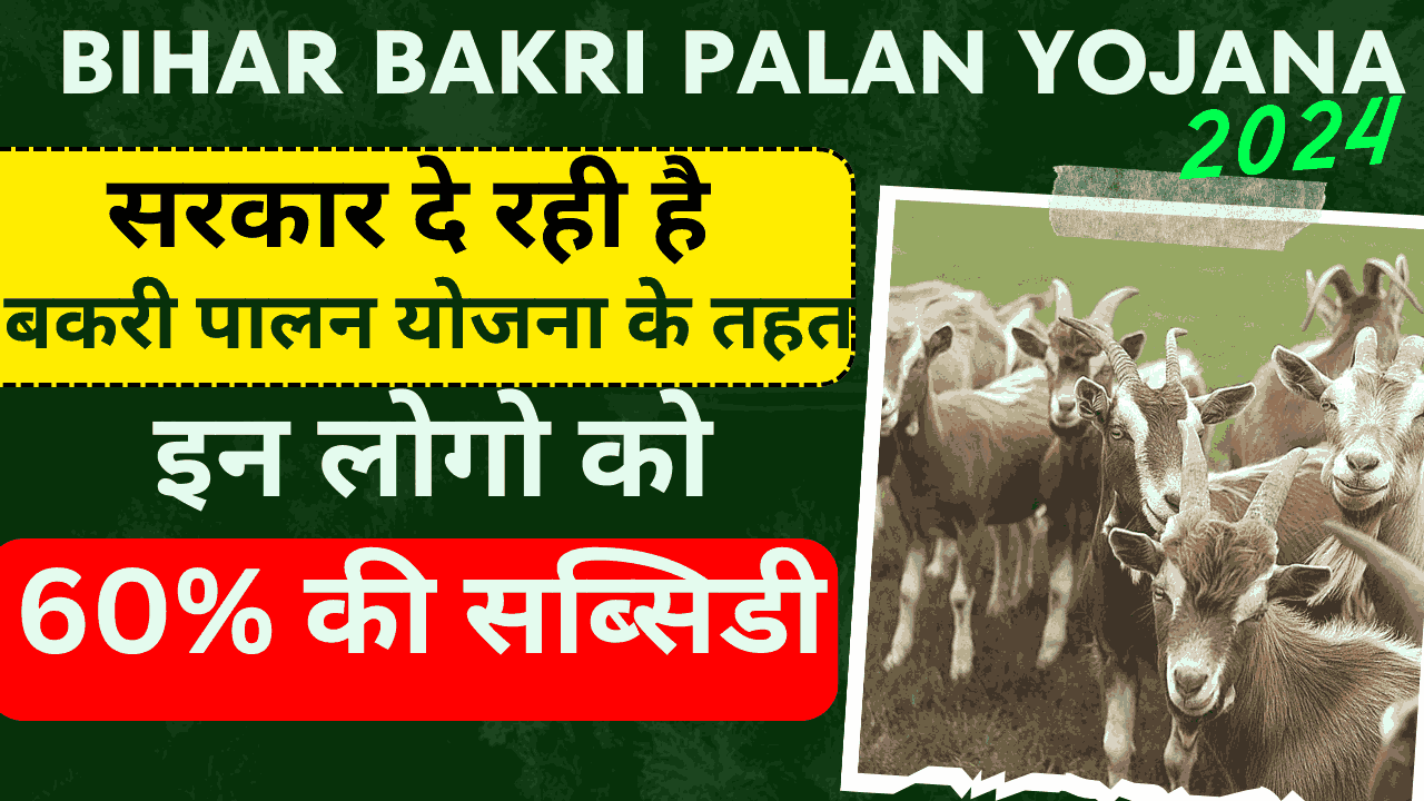 Bihar Bakri Palan Yojana 2024