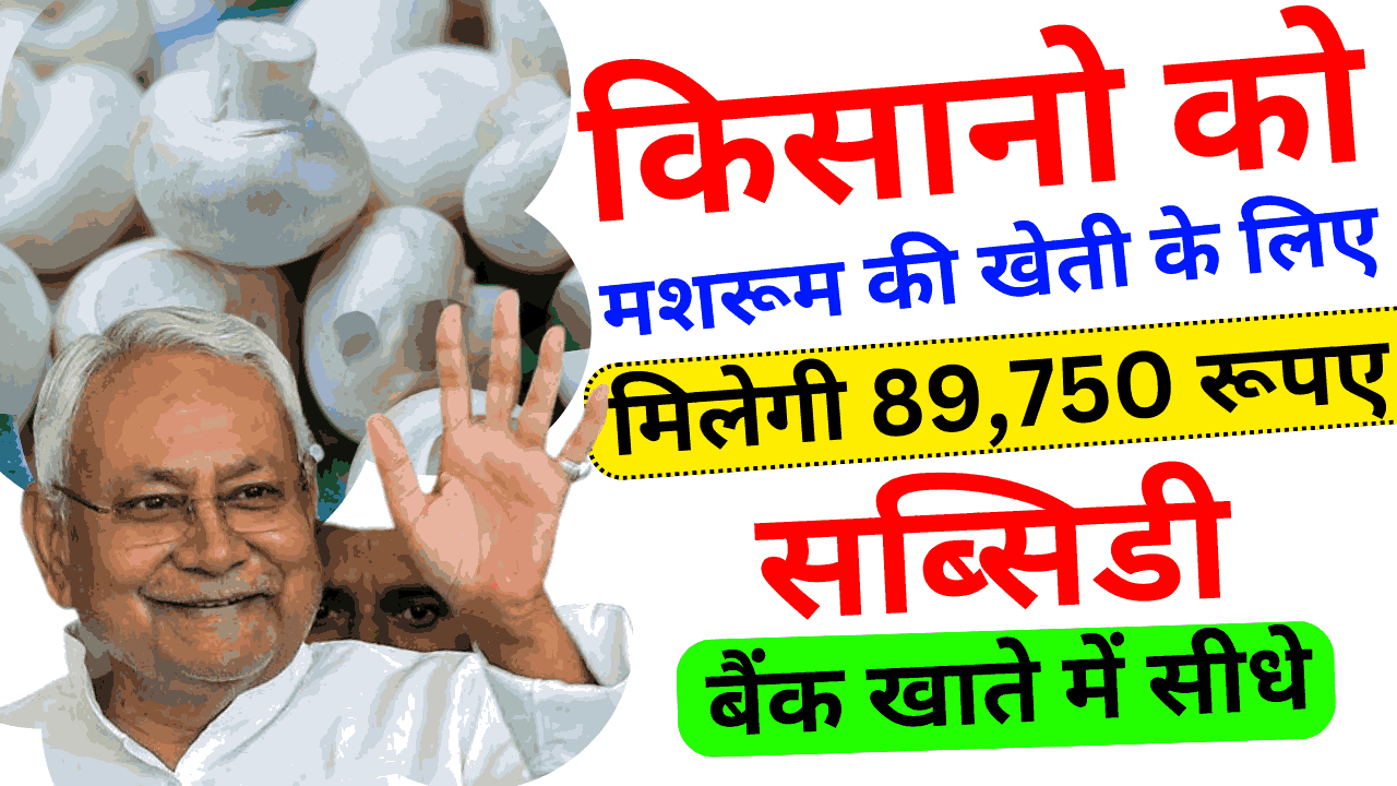 Bihar Mushroom Farming Subsidy Yojana 2024